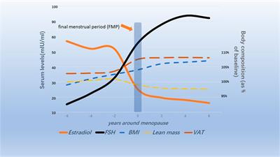Effects of follicle-stimulating hormone on fat metabolism and cognitive impairment in women during menopause